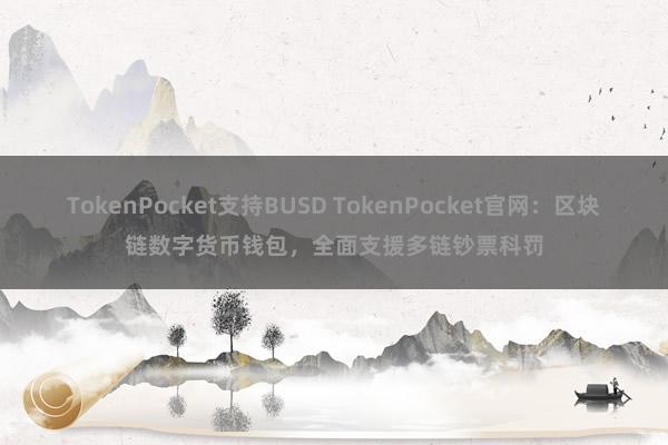 TokenPocket支持BUSD TokenPocket官网：区块链数字货币钱包，全面支援多链钞票科罚