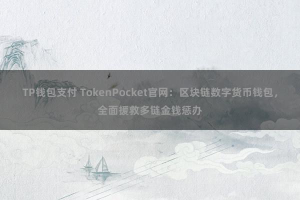 TP钱包支付 TokenPocket官网：区块链数字货币钱包，全面援救多链金钱惩办